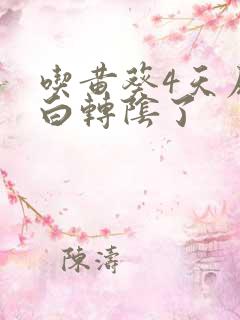 吃黄葵4天尿蛋白转阴了