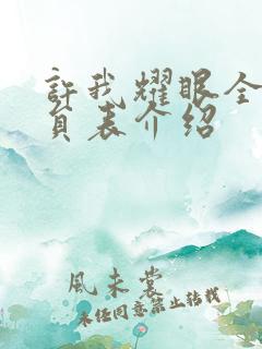 许我耀眼全部演员表介绍