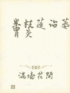 半枝莲治萎缩性胃炎