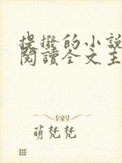 提拨的小说免费阅读全文主角重生