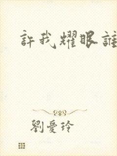 许我耀眼谁演的