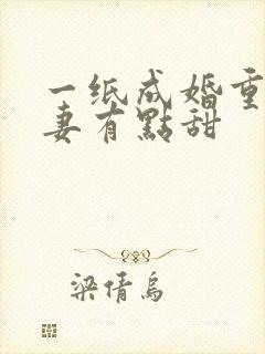 一纸成婚重生娇妻有点甜