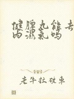 健脾丸能去除体内湿气吗