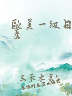 欧美一级日韩国产