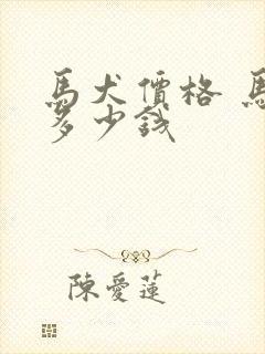 马犬价格 马犬多少钱