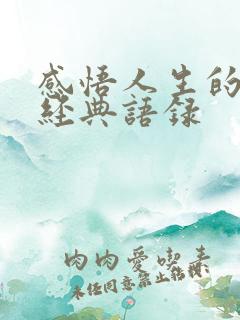 感悟人生的句子经典语录