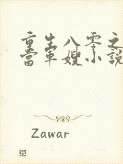 重生八零之我要当军嫂小说