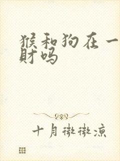 猴和狗在一起合财吗