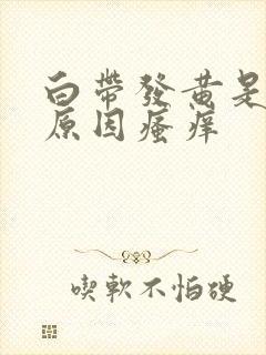 白带发黄是什么原因瘙痒