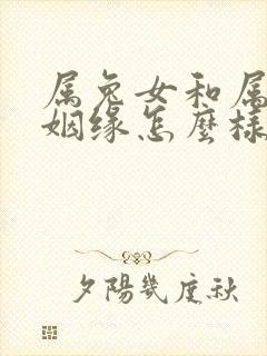 属兔女和属蛇男姻缘怎么样