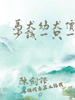 马犬幼犬价格多少钱一只一个月的