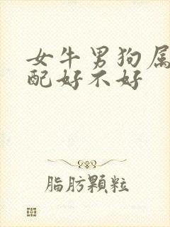 女牛男狗属相婚配好不好