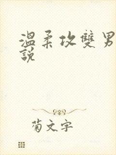 温柔攻双男主小说