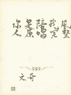 你是陪我风雨的人原唱完整版