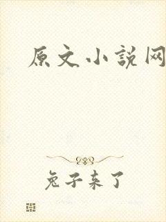 原文小说网