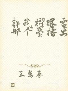 许我耀眼电视剧哪个台播出