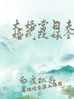 大婚当日夫君逃婚我改嫁全