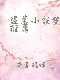 盗墓小说双男主推荐