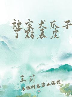 被家犬爪子抓破了点表皮