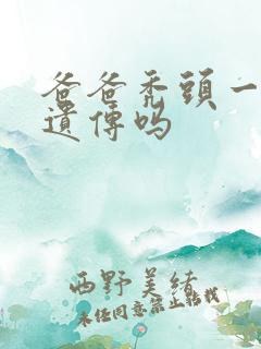 爸爸秃头一定会遗传吗