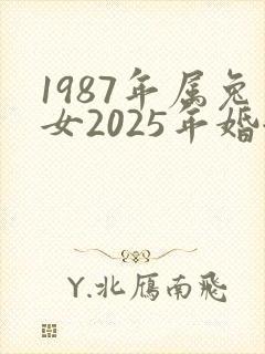 1987年属兔女2025年婚姻运势