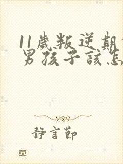 11岁叛逆期的男孩子该怎样去沟通教育