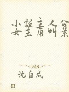 小说主人公林凡女主角叫叶惜