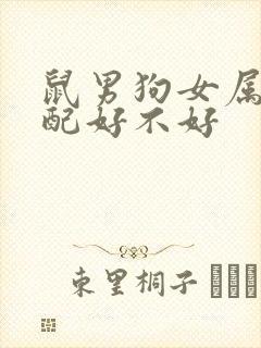 鼠男狗女属相婚配好不好