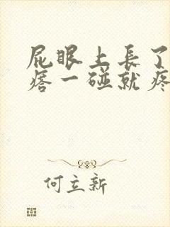 屁眼上长了个疙瘩一碰就疼