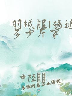 羽绒服l码适合多少斤穿