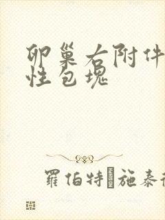 卵巢右附件区囊性包块