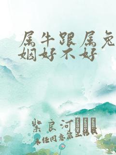 属牛跟属兔的婚姻好不好