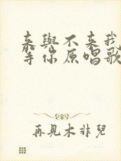 来与不来我都在等你原唱歌词