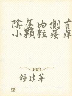 阴唇内侧有很多小颗粒瘙痒