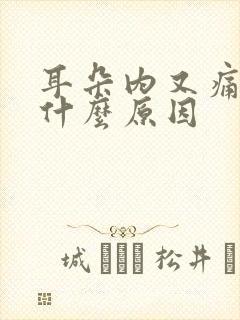 耳朵内又痛又痒什么原因