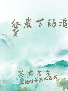 红岩下的追捕免费