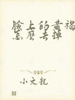 脸上的黄褐斑是怎么去掉