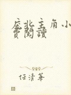 庞北主角小说免费阅读