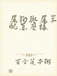 属狗与属羊的婚配怎么样