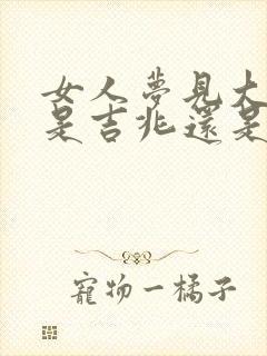 女人梦见大蟒蛇是吉兆还是凶兆