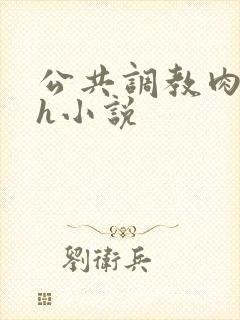 公共调教肉便器h小说