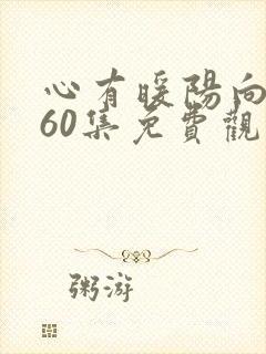 心有暖阳向云霄60集免费观看