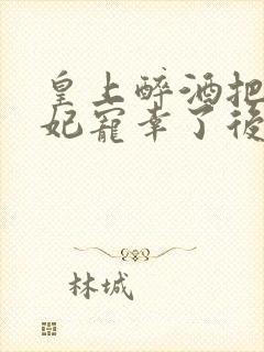 皇上醉酒把太子妃宠幸了后续描写