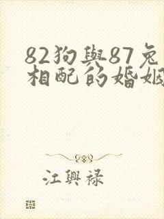82狗与87兔相配的婚姻如何