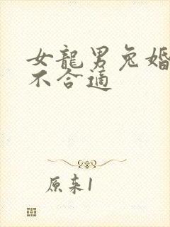 女龙男兔婚姻合不合适