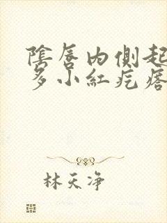 阴唇内侧起了好多小红疙瘩