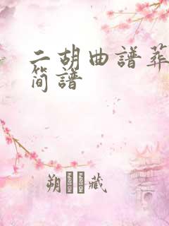 二胡曲谱葬花吟简谱