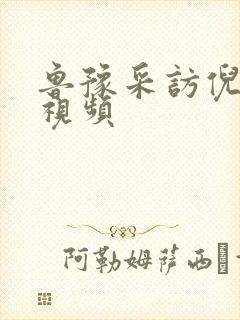 鲁豫采访倪萍的视频