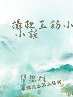摄政王的小毒妃 小说