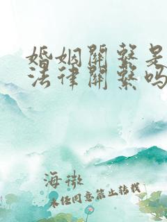 婚姻关系是民事法律关系吗